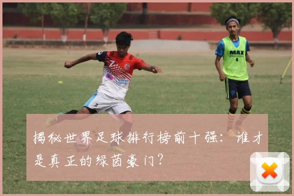 揭秘世界足球排行榜前十强:谁才是真正的绿茵豪门?